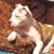 Mark Neider's profile image