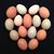 Shannon Penrith's profile image