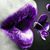 Alga Laviola's profile image
