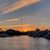 Lynne Dewhurst's profile image