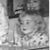 Jenny Lynn Miller's profile image