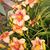 Cathy Lawton's profile image