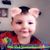 Melissa Shupp's profile image
