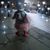 Angela Corriere's profile image