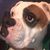 Eric Brooks's profile image