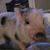 Gary Helton's profile image