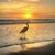 Christine Gaskill's profile image