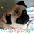 Allisa Greenwood's profile image