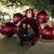 Evelyn Manzano's profile image
