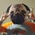 Susan N' Choddy Young's profile image