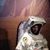 Adam L. Sanzenbacher's profile image