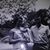 Carrie Hopler's profile image