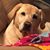 Donna Hack Foley's profile image