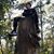 David Tompkins's profile image