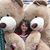 Dawn Dinsmoor Sweezey's profile image