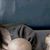 Angie de la Torre's profile image