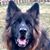 Casey W. Kubielewicz's profile image