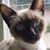 Nancy Rosenbaum's profile image