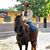 Noe Llamas's profile image