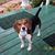 Yvonne Hughes's profile image
