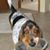 Connie C. Carter's profile image