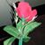 Gm Akbal's profile image