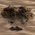 Wade Malloch's profile image
