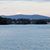 Susan Sims Walker's profile image