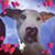 June Smith's profile image