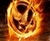 Peter M.'s profile image