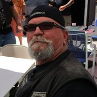 Kim Marholz's profile image