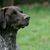 Linda Boone's profile image