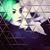 Chrissy DeWitt's profile image