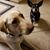 Karin Petty's profile image
