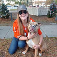 Rachel Reed's profile image