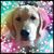 Martie Heath-Sinclair's profile image