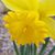 Linda Smith Gurganus's profile image