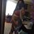 Rosemary Antepara's profile image
