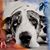 Julie L Stead's profile image