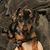 Keifer Routt's profile image