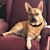 Tammy Echarren Cologie's profile image