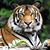 Laura Kelly's profile image