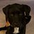 Judi DeJoie's profile image