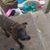 Shameka Rucker's profile image