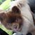 Shannon Kennedy Bertoldi's profile image
