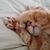 Jolane Jones's profile image