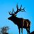 Stephen-b Mower's profile image