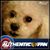 Dianne Hightower's profile image