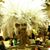 Carole Downs Collins's profile image