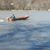 Tammy Northrup's profile image